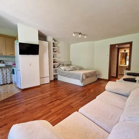 Loft Con Terraza Rinconin *